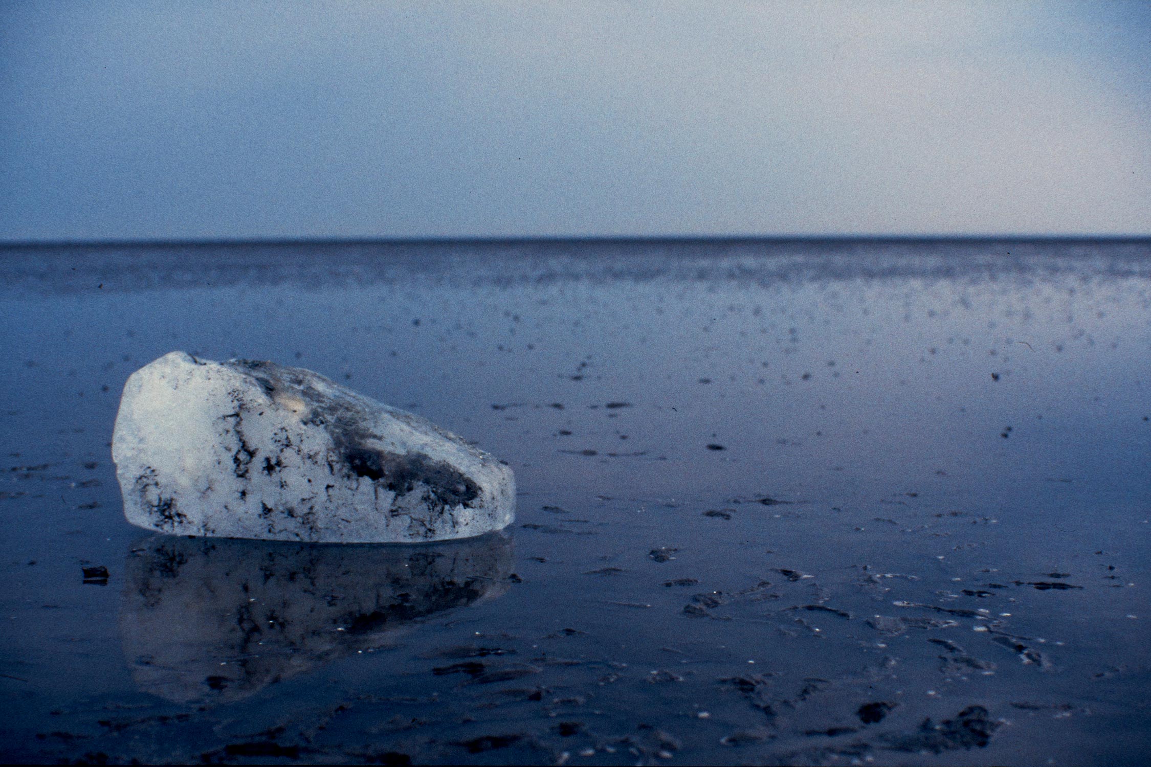 Capture One-Catalog0916