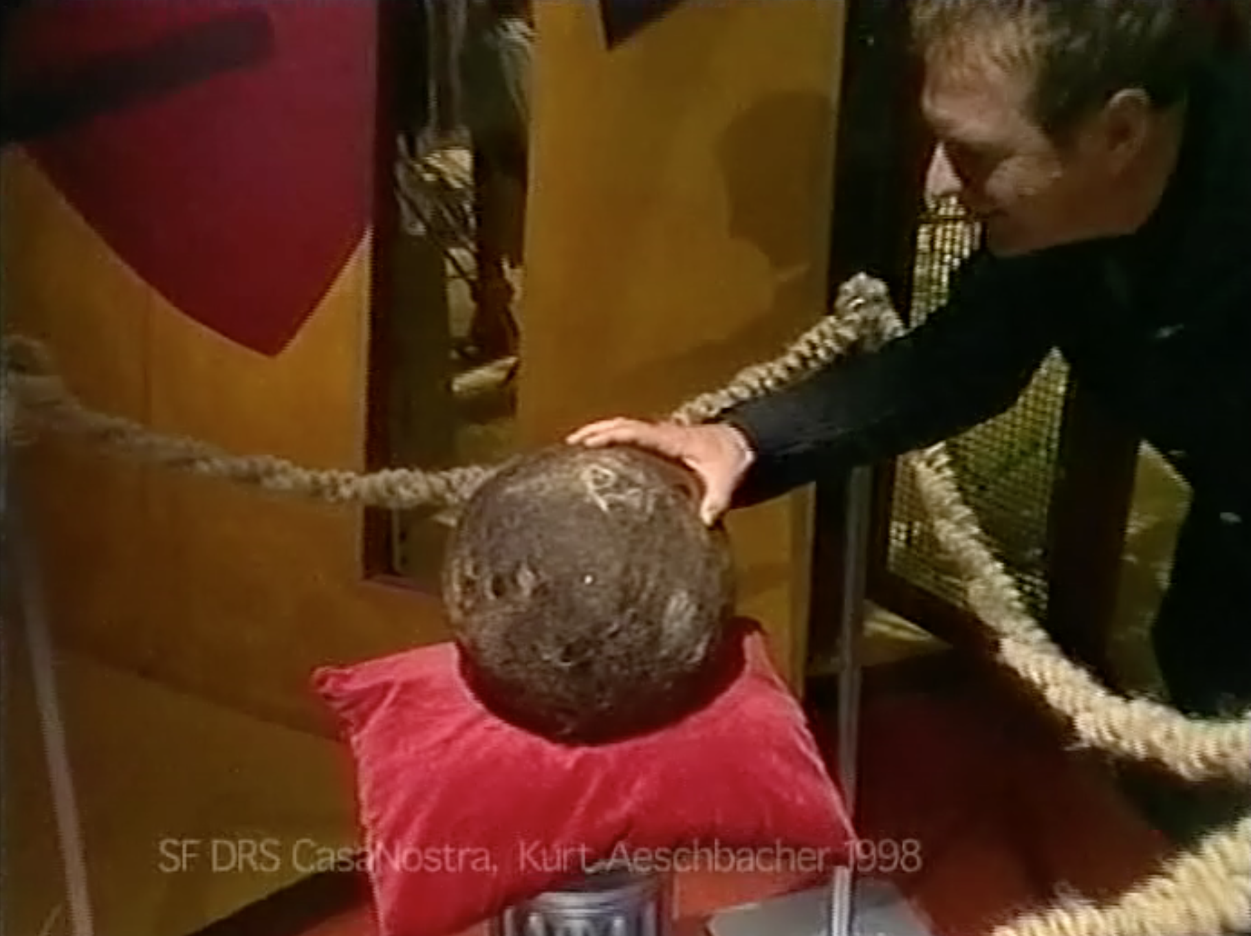 Bildschirmfoto%202021 03-15%20um%2014.46.58